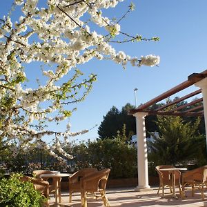 Hotel Patilla Ciudad De Requena